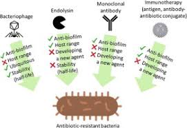 Image result for Antimicrobial Agent