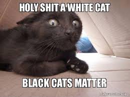 Cats have been stealing the show on the internet almost since its inception, with pictures of cats being shared on usenet long before most people even ever since, people have been making and sharing cat memes, making their favorite felines famous in a wide array of hilarious memes that never fail to. Holy Shit A White Cat Black Cats Matter Schitzo Cat Make A Meme