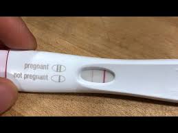 Image result for Pregnancy Test