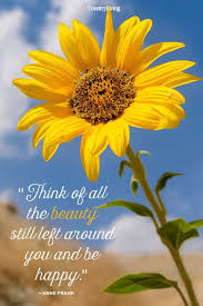 30 Best Happy Quotes That Will Immediately Brighten Up Your Day Good Happy Quotes Happy Life Quotes Happy Monday Quotes