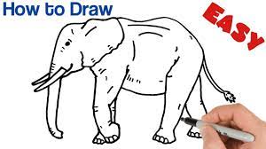 How To Draw An Elephant Easy Animals Drawings For Beginners Art Tutorial Youtube What's more, you need to be able to draw their so, study different photos of animals in different positions, which is going to make it easier for you to recreate them.