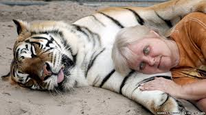 Please check back often for current game animals for live sale as well as other info! Does The Us Have A Pet Tiger Problem Bbc News