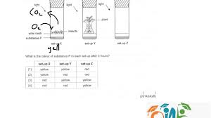 Category questions section with detailed description, explanation will help you to master the topic. Psle Science 2014 P1 Q8 Youtube