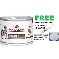 Royal canin veterinary diet gastrointestinal low fat loaf wet dog food. Royal Canin Recovery Canned à¸­à¸²à¸«à¸²à¸£à¸ª à¸™ à¸‚ Prices And Promotions Aug 2021 Shopee Malaysia