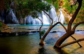 Download Beautiful Nature Wallpapers For Desktop Group 80 Nature wallpapers 4k hd for desktop, iphone, pc, laptop, computer, android phone, smartphone, imac, macbook, tablet, mobile device. beautiful nature wallpapers for desktop