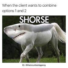 Your funny stock images are ready. Yos Funny
