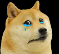 Discover 78 free doge meme png images with transparent backgrounds. Sad Cheems Meme Template Sad And Depressed Dog Doge Doggo Beingcricky
