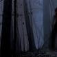 Haunted Mountain event image