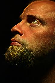 Turn an Ordinary Photo into an Oil Painting in Photoshop