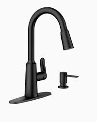 arc pulldown kitchen faucet