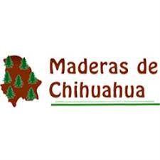 Maderas De Chihuahua Cabo San Lucas Ampliacion Leona Vicario M 58 624 173 3