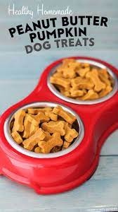 I, being the most awesome dog mom that i am, made cookies for my furry babies. Healthy Homemade Peanut Butter Pumpkin Dog Treats Sugar Free Gluten Free Dairy Free Eggless Vegan Dog Food Recipes Homemade Dog Food Dog Treat Recipes