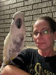 Introduction and photo of backyard chicken