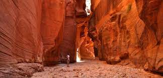 Buckskin Gulch Via Wire Pass Your Hike Guide