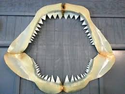 Giant 48 Great White Shark Jaws Handmade Metel Replica Nautical Wall Decor Art Carversoleiron 280 Nautical Wall Decor Metal Wall Sculpture Wall Art Decor