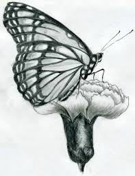 Disegni Da Copiare Facili E Belli Schizzo A Matita Di Una Farfalla Farfalla Su Un Fiore Disegni A Matita Facili Disegni A Matita Schizzo A Matita