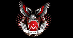 Turkish Cyber Group Ayyildiz Tim Hackss Iron Dome