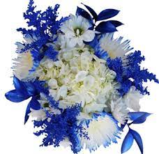 We did not find results for: Honor Memorial Day Flower Arrangement Wholesale Flowers Whole Blossoms