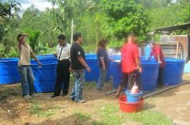 Untuk mengawali berternak kelinci ini anda sebaiknya harus menyiapkan budget yang lebih karena untuk berternak kelinci akan berbeda dengan memeliahara kelinci. Laman Web Rasmi Jabatan Pertanian Sarawak