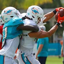 Inside the miami dolphins' $135m practice facility: Lmrlarjnsfshlm
