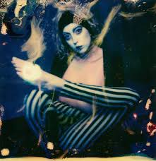 Image result for Diospyros crassiflora