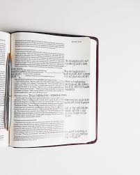 Pin By Zoe Reagan On Bible In 2020 Bible Study Notes Bible Journal Notes Bible Study Notebook