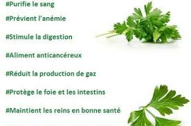 Bienfaits Du Persil Aliments Bons Pour La Sante Bienfaits Du Persil Alimentation Et Sante