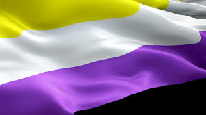 Closeup of a transgender pride flag waving on the blue sky. Non Binary Pride Flag Video Stock Footage Video 100 Royalty Free 1044849712 Shutterstock