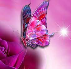 We did not find results for: 15 544 Nice Whatsapp Dp Hd Profile Images Pics Hd Download Whatsappimages