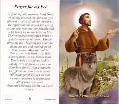 Prayers To St Francis Of Assisi To Help Our Pets Saint Francis Prayer Sick Pets Pets