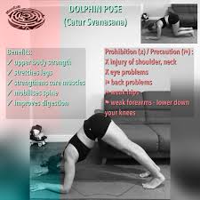 Mazeexit Fitness On Instagram Dolphin Pose B Ps Yoga Meditation Fitness Yogainspiration Yogal In 2020 Dolphin Pose Poses Strengthen Core Muscles