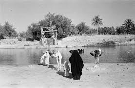 أخبار 24 سدود مياه ومزارع صور لمدن المنطقة الشرقية التقطها الرحالة البريطاني تسينجر عام 1946م