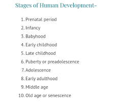 Human Development Human Development Stages Of Human Development Emotional Development