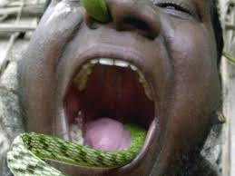 What In The World The Weirdest Guinness World Records Ever Al Bawaba