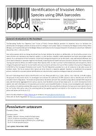 Image result for Cenchrus trisetus