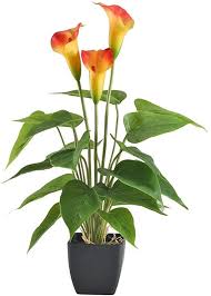 Nahuaa Kunstblumen Calla Lily Kunstliche Topfpflanzen Plastik Pflanzen Fruhling Deko Kunstpflanzen P Plastikblumen Kunstblumen Pflanzen