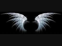 Black And White Angel Wings Wallpaper Puscifer The Undertaker Renholder Mix Wings Wallpaper Angel Wings Hd Angel Wallpaper
