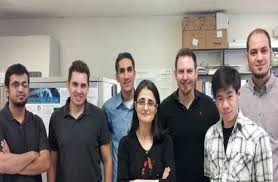 Tornos News Report High Oleocanthal Olive Oil Slows Down Alzheimer S In Mice