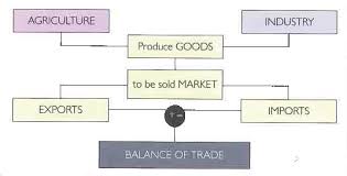 Understanding the Balance of Trade Dynamics