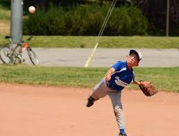The virtual corona colorado triple crown series. Youth Baseball Team In Craig Battling In World Series Craigdailypress Com