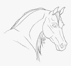 How do you draw a horse face? Horse Head Line Drawing Horse Line Art Head Hd Png Download Kindpng