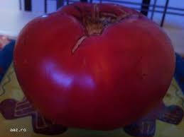 Seminte de rosii extratimpurii, timpurii, semitimpurii. Vanzare Tomate Romanesti Vidra