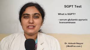 But if the liver is inflamed or injured. Sgpt Blood Test An Overview Youtube