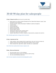 12 30 60 90 Day Sales Plan Examples Pdf Word Examples