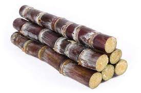 Buy Bsd Organics Sugarcane 15 Pieces Online At Low Prices In India Amazon In