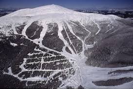 ***no early check in or late departures at this time*** you may check in after 4pm and check out by 11am. Mount Baldy For Sale