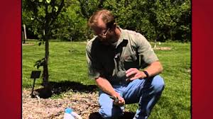 Wipe the tool dry, and oil it promptly to discourage corrosion. Sterilizing Pruners Youtube