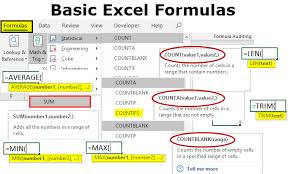 Basic Excel Formulas List Of Top 10 Basic Excel Functions With Examples Excel Formula Excel Formula