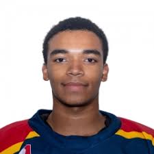 New Hamburg Firebirds @ Dorchester Dolphins Saturday, November 15, 2025