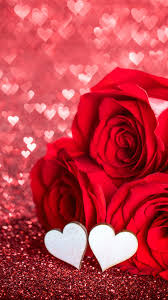 holiday valentine s day bokeh flower heart shaped love red flower red rose romantic rose 1080 rose flower wallpaper red roses wallpaper flower phone wallpaper